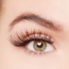 Close-up view of a human eye featuring long, voluminous eyelash extensions and well-groomed eyebrows, showcasing beauty and elegance.