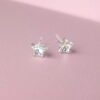 Star-shaped crystal earrings featuring a clear design, perfect for adding a touch of sparkle to any outfit. Lightweight and stylish accessory.